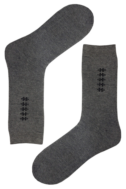 Thermo zimní pánské ponožky HM206 2bal.