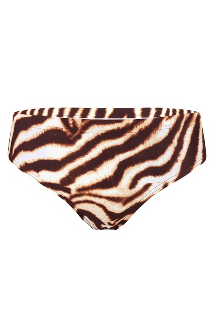 Raynas Safari pánské slipové plavky hnědá velikost: XXL