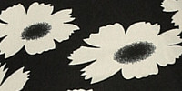 černá