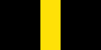 žlutá