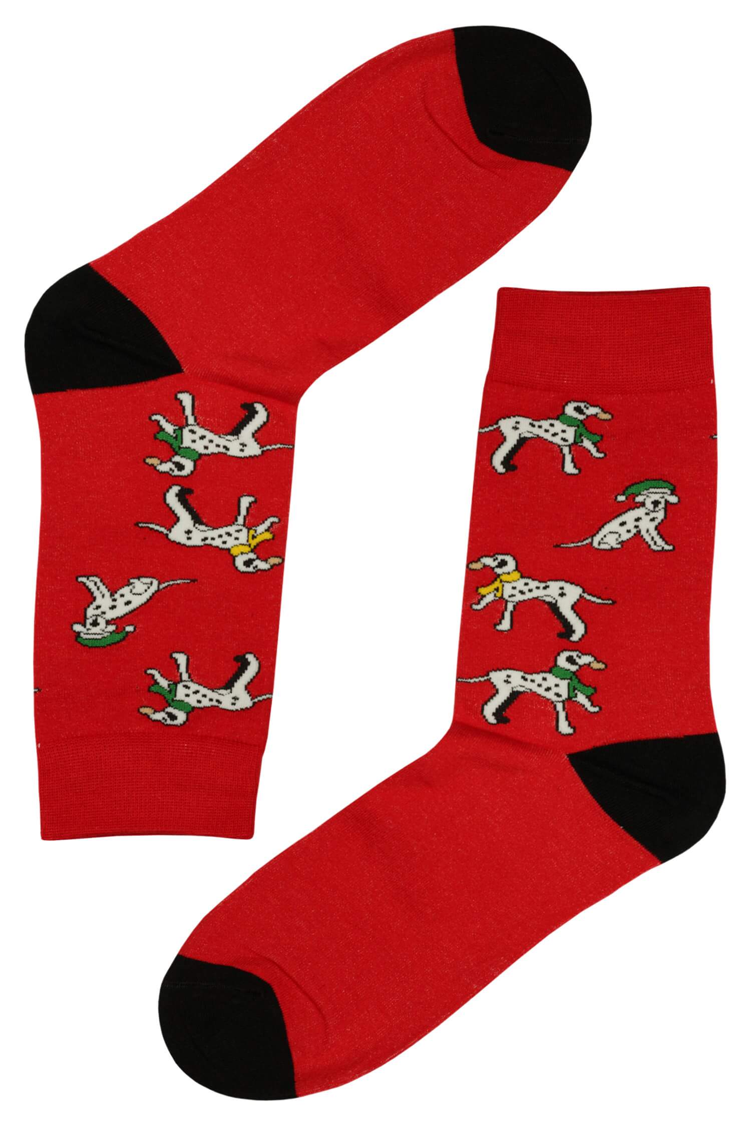 Dalmatians pánské vánoční ponožky 39-42 červená