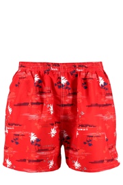 Hawai Summer pánské koupací šortky DK6939