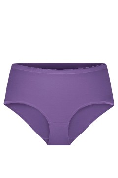 Bety Invisible Maxi Waist Briefs GTBW-952 - 3bal.