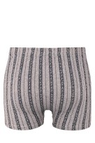 Drahoslav bavlněné trenky 3301 - 3bal