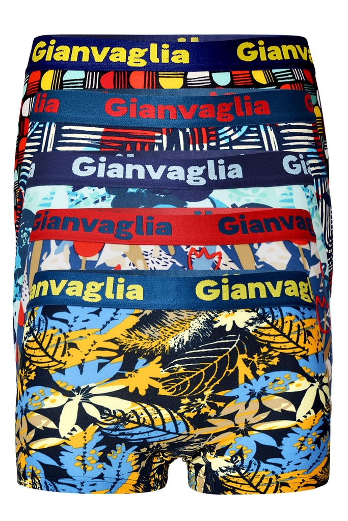 Pavlína dámské boxerky s nohavičkou GVG-8802 - 5bal.